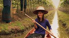 Floating Vineyard in the Chao Phraya Delta Floating Vineyard in the Chao Phraya Delta